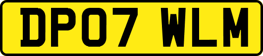 DP07WLM
