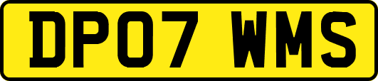 DP07WMS