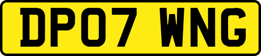 DP07WNG