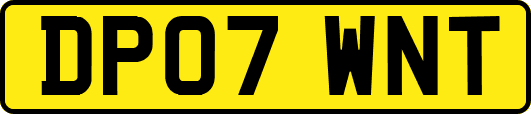 DP07WNT