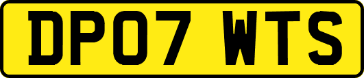 DP07WTS