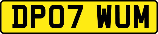 DP07WUM