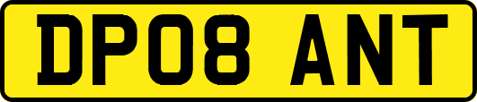 DP08ANT