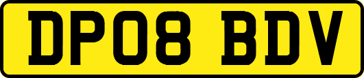DP08BDV