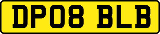 DP08BLB