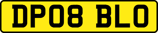 DP08BLO