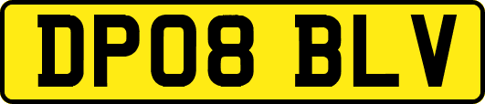 DP08BLV