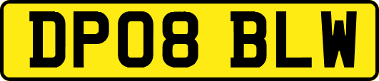 DP08BLW