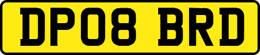 DP08BRD