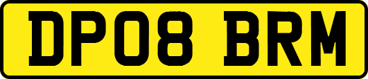 DP08BRM