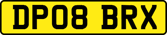 DP08BRX