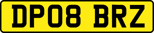DP08BRZ