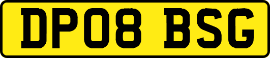 DP08BSG