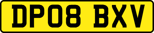 DP08BXV