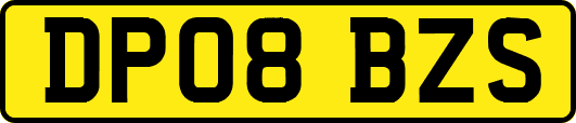 DP08BZS
