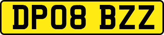 DP08BZZ