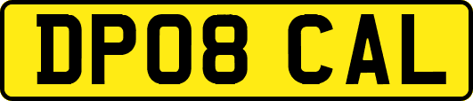 DP08CAL