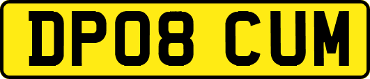 DP08CUM