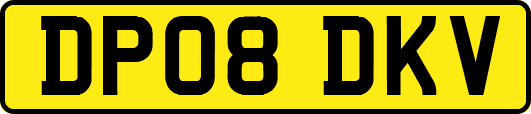 DP08DKV