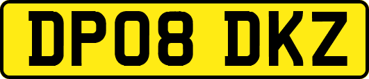 DP08DKZ