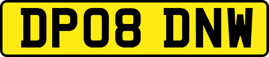 DP08DNW
