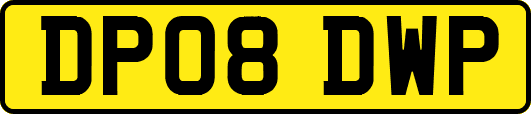 DP08DWP