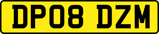 DP08DZM