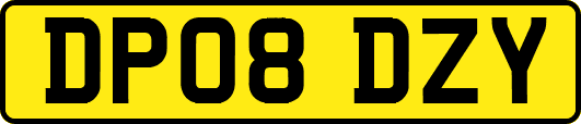 DP08DZY