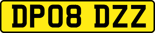 DP08DZZ