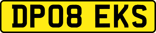 DP08EKS