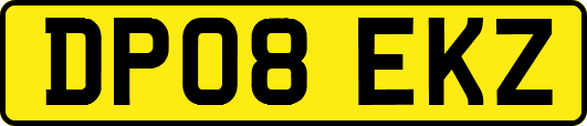 DP08EKZ