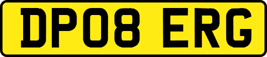 DP08ERG