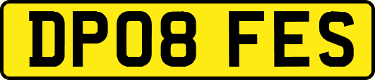 DP08FES