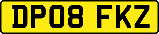 DP08FKZ