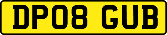 DP08GUB