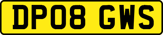 DP08GWS