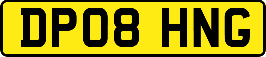 DP08HNG