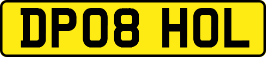 DP08HOL