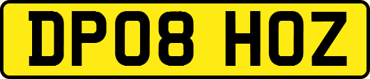 DP08HOZ