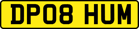 DP08HUM