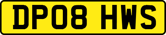 DP08HWS