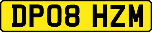 DP08HZM