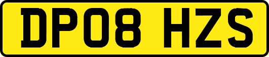 DP08HZS
