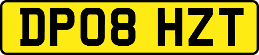 DP08HZT