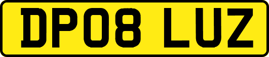 DP08LUZ