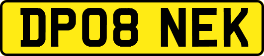 DP08NEK