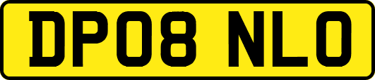 DP08NLO