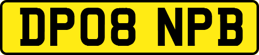 DP08NPB