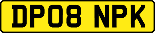 DP08NPK
