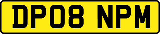 DP08NPM